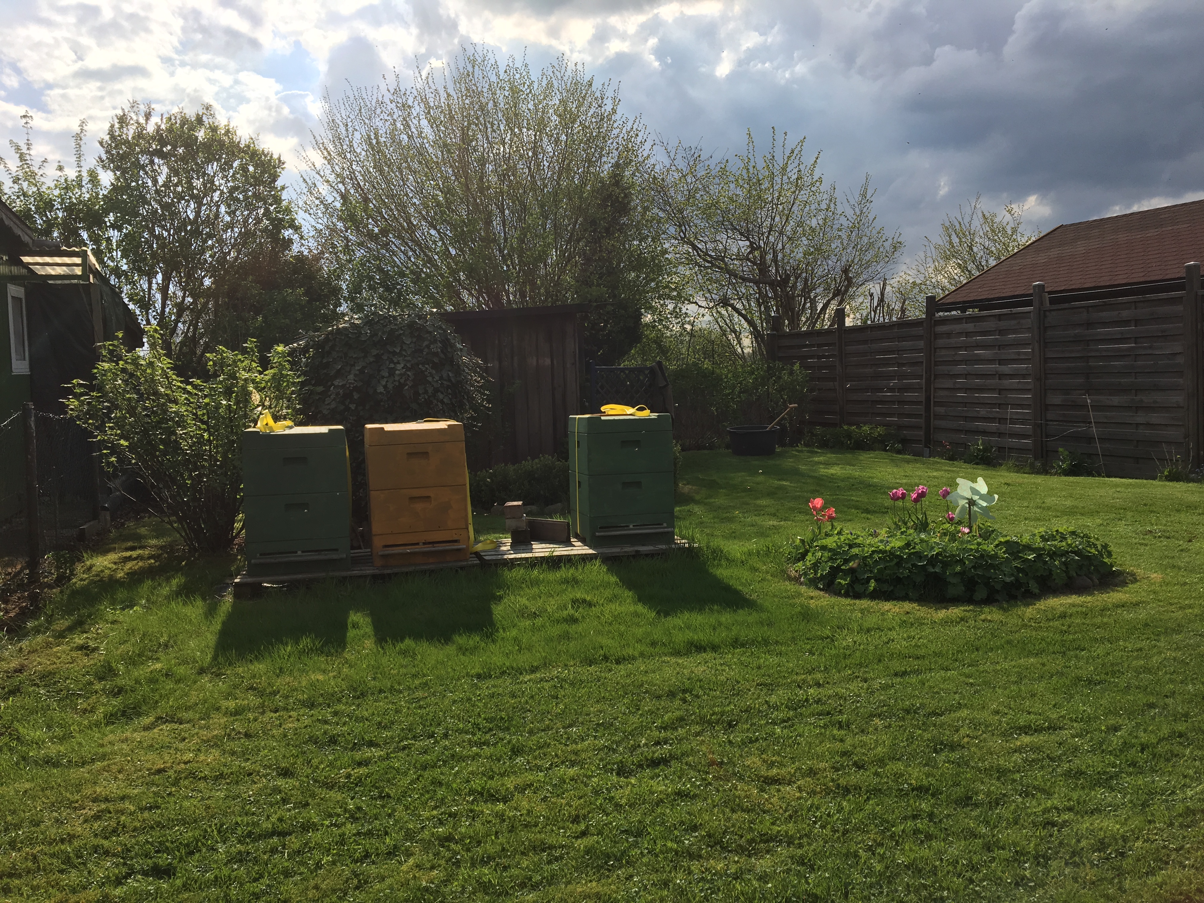 Drei Völker mit jeweils zwei Bruträumen.